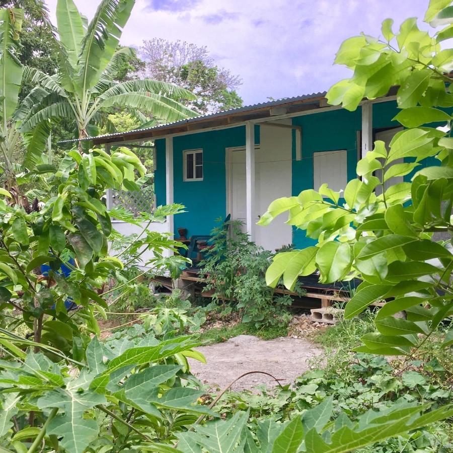 Easymans' Winifred Beach Chalets Port Antonio Exterior photo